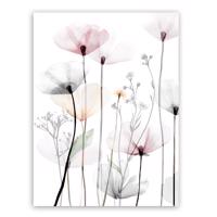 Canvas 60x80c St543 Modern Poppy 1