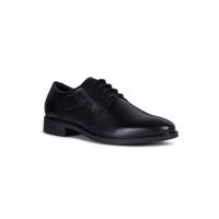 Gladwin Geox® Derbies