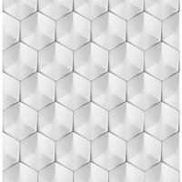 Üveg panel 60/60 Polar Hex Esg